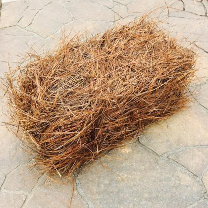 Pine Straw